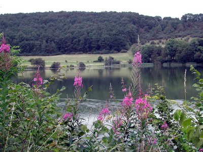 Motiv: Immerather Maar
Ort: Immerath, Eifel
Aufnahmedatum: August 2002
Kamera: Nikon 885