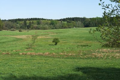 Nature Reserve Irrlichtsweiher (May 2016)