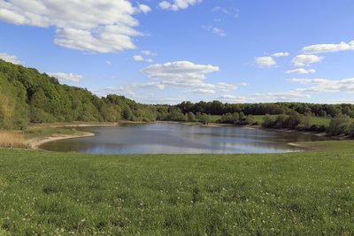 Ansicht von Norden (Verbindungsweg zwischen der alten Poststraße und der Strelitzer Straße), die Waldkante links im Bild zeigt etwa die Uferlinie bei Wasserhochstand.