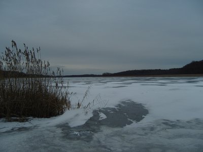 Südwestufer des Jabelschen See vom Damerower Werder (Campingplatz Heidenfriedhof) aufgenommen - Winter