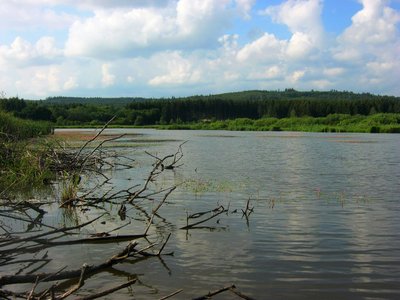 Blick auf den Jungfernweiher bei Ulmen