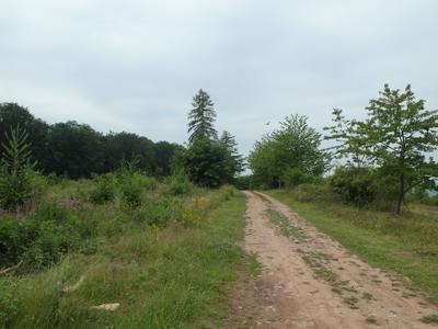 Kaiser- Otto- Höhenweg