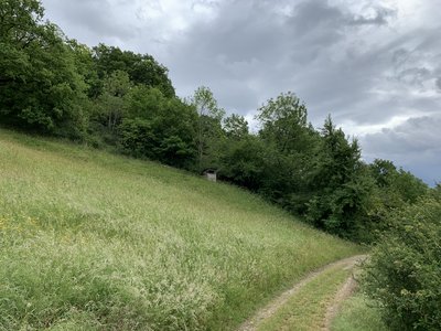 Das Naturschutzgebiet Kalkmagerrasenkomplex bei Weyer liegt auf dem Gebiet der Stadt Mechernich im Kreis Euskirchen in Nordrhein-Westfalen.