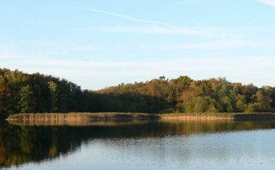 Blick auf das Nordufer des Kirchensees, Teil des Naturschutzgebiets Strangen. Mecklenburg-Vorpommern.