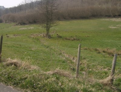 (NSG:RP-7235-068)_Klinkbachtal