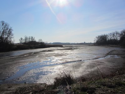 Fish pond in Kluß (Wismar), district Nordwestmecklenburg, Mecklenburg-Vorpommern, Germany