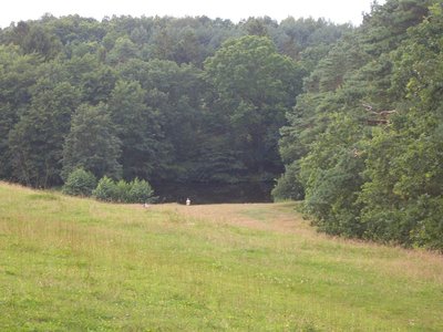 Rostocker Heide und Naturschutzgebiet Kösterbeck.