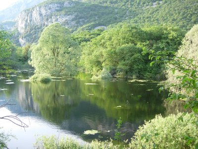 Lago di Loppio (Foto M. Francesconi)