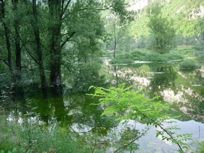 Lago di Loppio (Foto M. Francesconi)