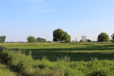 Wiesenlandschaft im Naturschutzgebiet „Im Wörth“ in Waldsee. Ort: Im Wörth, Waldsee, Rheinland-Pfalz, Deutschland