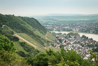 Blick auf den Langenbergskopf, welcher sich rechts im Bild befindet. Dort wo die kleine Hütte zwischen den Bäumen zu sehen ist.