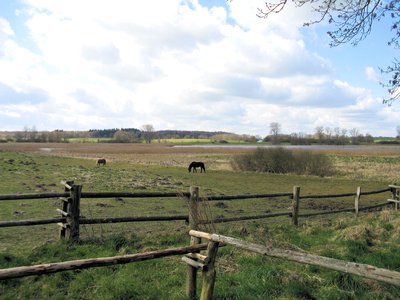 Langenhägener Seewiesen, Kranichrastplatz, IGA 2003- und BUGA 2009-Außenstandort im Landkreis Parchim, Mecklenburg-Vorpommern