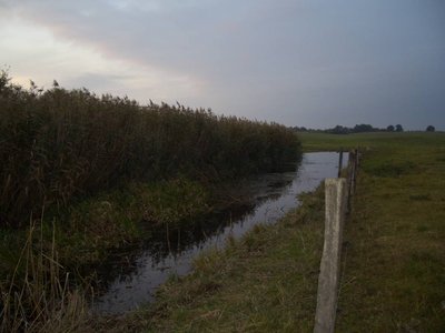 Naturschutzgebiet Lauenhagener See, NW-lich von Strasburg (MV).