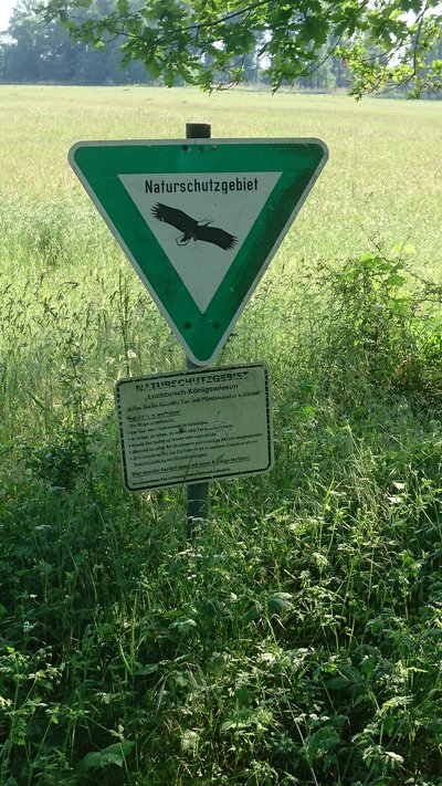 (NSG:RP-7316-057)_Lochbusch-Königswiesen