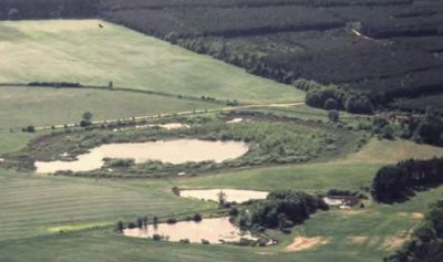 Luftbild vom Mittelsee bei Langwitz. Blick von Nordost.