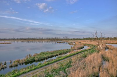 Der Plattenweg führte früher zum Kamp, heute ist er unpassierbar.