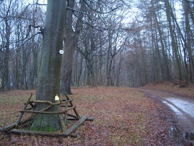 Nordosteingang in das Naturschutzgebiet Maibachtal in Mecklenburg-Vorpommern. Markierung für den Europäische Fernwanderweg E 10 als Blau - Weiß - Blaues Schild am Baum.