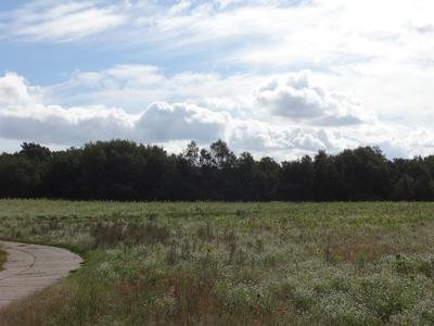 Blick von der Mannhäger Straße auf das NSG Mannhagener Moor