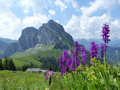 Naturschutzgebiet Aggenstein