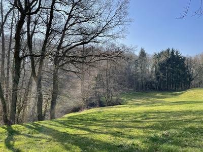 Das Naturschutzgebiet Rotbach- und Bruchbachtal liegt auf dem Gebiet der Stadt Mechernich im Kreis Euskirchen in Nordrhein-Westfalen.