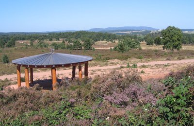 view of Mehlinger Heide, Mehlingen, Germany