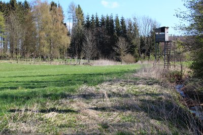 Eisenbachwiesen, Naturschutzgebiet in Meudt, Westerwald