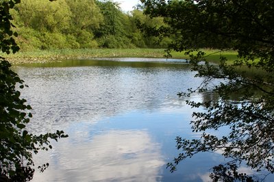 Naturschutzgebiet Spießweiher, Montabaur, Westerwald, Rheinland-Pfalz