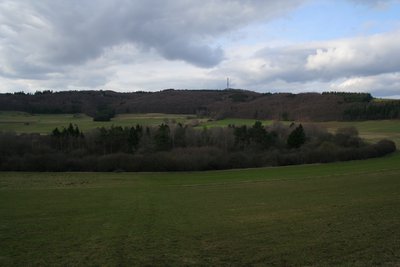 Blick auf den Mosbrucher Weiher in der Vulkaneifel