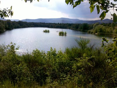 Mußbacher Baggerweiher