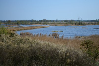 Naturschutzgebiet „Peenetal von Jarmen bis Anklam“ (NSG N328) im Landkreis Vorpommern-Greifswald bei Anklam
