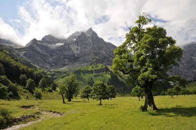 Großer Ahornboden in the Naturepark Karwendel