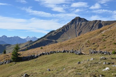 Hochplatte Mountain