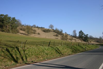Blick von der Landstraße von Canstein nach Udorf auf einen Teil der östlichen Teilfläche des Naturschutzgebiets „Udorfer Mühle“ bei Marsberg-Udorf im Hochsauerlandkreis (NRW).