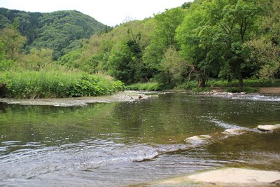 Ahr im Naturschutzgebiet „Ahrschleife bei Altenahr“ (NSG 7131-010) im Landkreis Ahrweiler, Rheinland-Pfalz