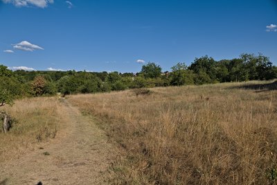 Am Rothen Sand nature reserve.