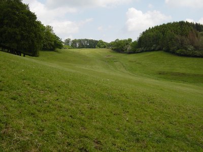 Ostfläche Naturschutzgebiet Bellergrund von Süden.