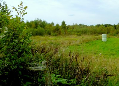 Naturschutzgebiet Brückborn/Kranzbruch