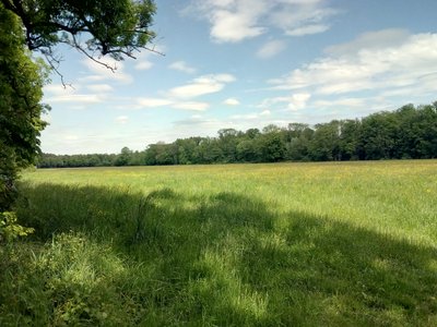 Meadows along the Otterbach stream east of Kandel