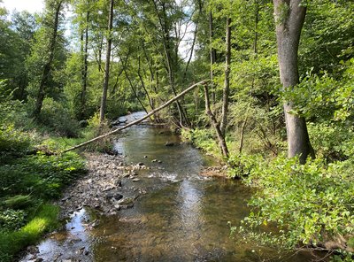 NSG EN-028 Tal der Ennepe - Ennepe unterhalb Hohenstein