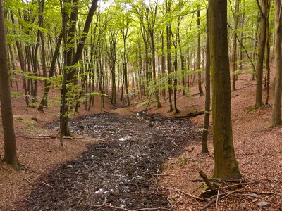 NSG Obere Ahr mit Muehlheimer Bach, Reetzer Bach und Muehlenbachsystem