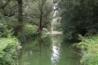 Ediger Laach nature reserve