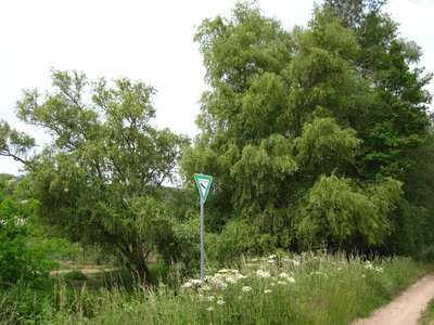 Gartenwiese Nature Reserve (May 2015)