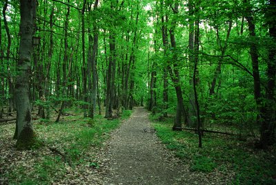Gau-Algesheimer Kopf Nature Reserve – Expansion (May 2015)