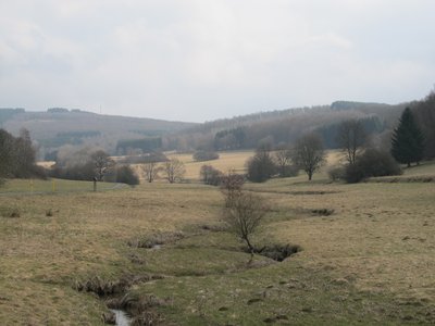 Das Naturschutzgebiet Gilsbachtal zwischen den Burbacher Ortsteilen Wahlbach und Gilsbach im Kreis Siegen-Wittgenstein, Nordrhein-Westfalen.