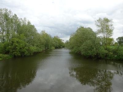 Naturschutzgebiet Grietherorter Altrhein.