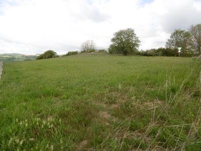 Naturschutzgebiet Hermelenstein​ vom Südostrand.