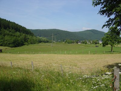 Westteil vom Naturschutzgebiet Hillenbachtal (Grünland im Bild) im Eigentum der NRW-Stiftung. Im Hintergrund Hildfeld. Wald gehört zum LSG Winterberg.