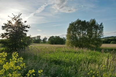 Mayen Nature Reserve