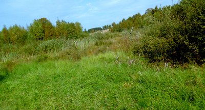 Naturschutzgebiet Kranzbach und Kranzbruchvenn