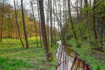 Naturschutzgebiet Lambsbachtal (RP), an der Landesstraße L 462